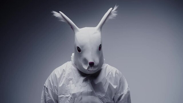 Man dressed as a white rabbit sitting in a laboratory. Eerie, mysterious scene. Paranoia and psychosis, mental illness concept. Psychotic nightmare, hallucinations and drugs.