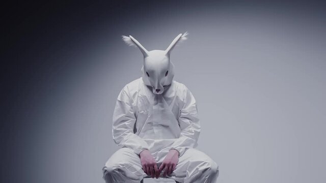 Madness and mental illness concept. Scary, crazy person in animal mask tied in a white room. Nightmare, psychosis. Paranoia and depression concept, isolated madman.