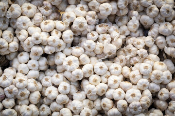 many white garlic head pile texture. Fresh garlic on market table closeup photo. White garlic head from top background 