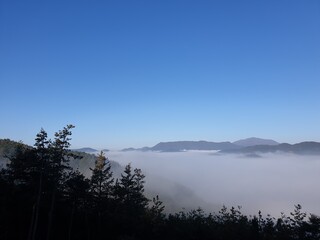 Obraz na płótnie Canvas fog over the lake