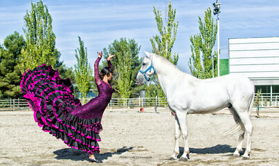 Flamenco dancer with a horse