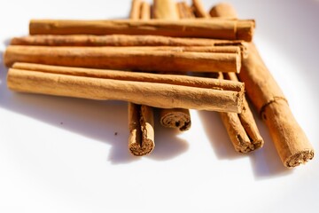 Cinnamomum verum, Called true cinnamon tree, cinnamon stick detail on white plate, gastronomy concept