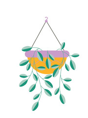 Home plants isolated on white background. National Gardening Day. Home decor. Plants in stylish pots. Urban jungle, trendy home decor.