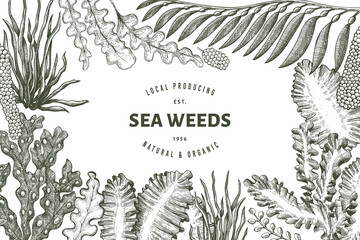 Seaweed design template. Hand drawn vector seaweeds illustration. Engraved style sea food banner. Retro sea plants background © lubovchipurko