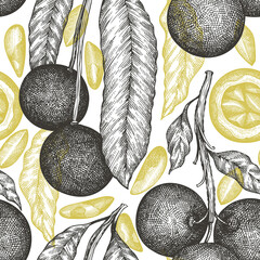 Hand drawn brazilian nut branch and kernels seamless pattern. Organic food vector illustration on white background. Retro nut illustration. Engraved style botanical background.