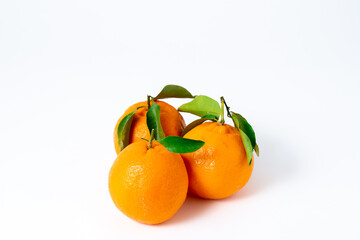 新鮮果物　ポンカン