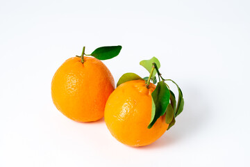 新鮮果物　ポンカン