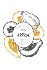 Hand drawn sketch style papaya banner. Organic fresh fruit vector illustration. Retro fruit design template