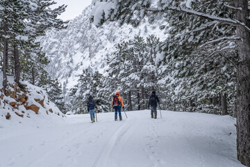 A group of friends walking together on a snowy day and the beauty of the therapeutic nature and...