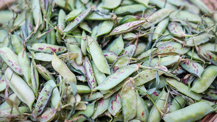 
Lathyrus sativus also knows as grass pea