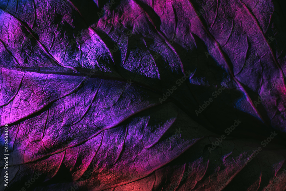 Aufkleber close up beautiful abstraction leaf texture in purple neon light. minimalism retro style concept. ba