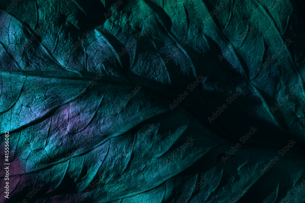 Aufkleber Close up Beautiful abstraction  leaf texture in multicoloured neon light. Minimalism retro style concept. Background pattern for design. Macro photography view.