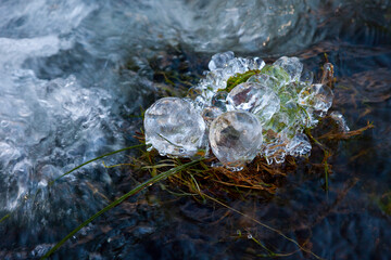 Bosque de Riofrio, Segovia, Castilla y León, España, Europa