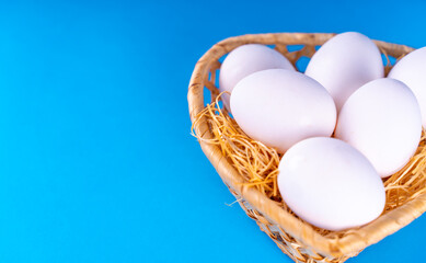 Farm raw, fresh white chicken egg in a basket on a blue background. Concept: a fresh egg for the morning breakfast.