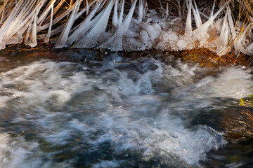 Bosque de Riofrio, Segovia, Castilla y León, España, Europa