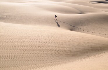 Landscape photo of person walking in desert - Powered by Adobe