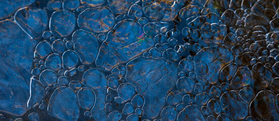 Bosque de Riofrio, Segovia, Castilla y León, España, Europa