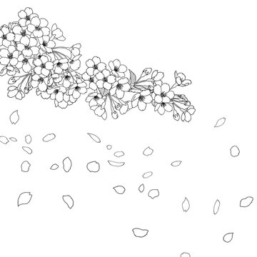 3 193 件の最適な 花吹雪お花見 画像 ストック写真 ベクター Adobe Stock 3 193 件の最適な 花吹雪お花見 画像 ストック写真 ベクター Adobe Stock