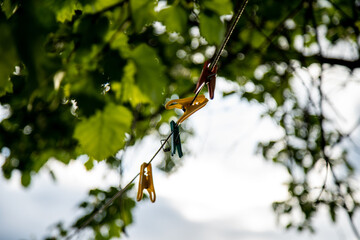 colorful clothespins on a rope