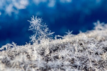 macro of snowflakes with blue background