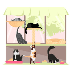cat shelter. the cattery. cat cafe. vector illustration of cats of different breeds