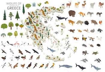 Isomatric 3d design of Greece wildlife. Animals, birds and plants constructor elements isolated on white set. Build your own geography infographics collection.