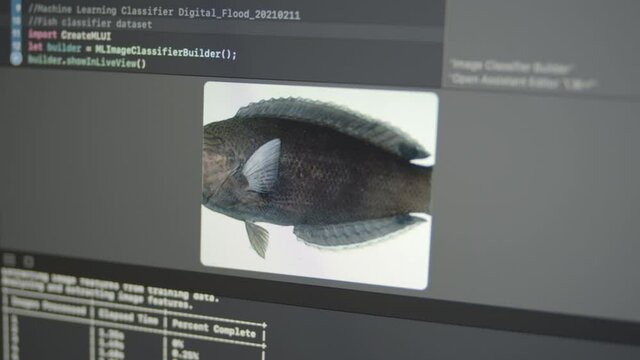 2.18 Real Neural Network Machine Learning Analyzes Fish Classifier Dataset