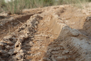 macro photo tire  on a dirty mud at road for background