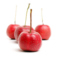 Hawthorn on a white background 