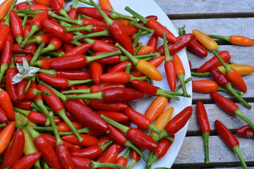 red hot chili peppers in a bowl on the wooden table. very spicy fresh chili organic