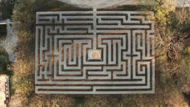 Puzzle, challenge concept. Drone shot of a maze, abstract, nature background. 