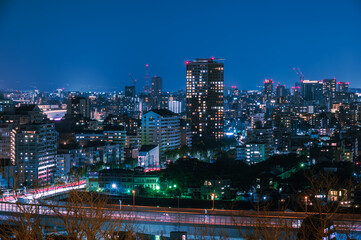 Fototapeta na wymiar 日本の地方都市、福岡市愛宕神社から望む夜景の美しいビル街の灯りと街並み
