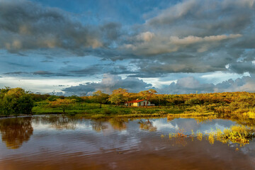 autumn landscape with lake