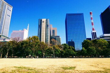 東京日比谷公園の芝生広場と日比谷通り沿いの高層ビル群