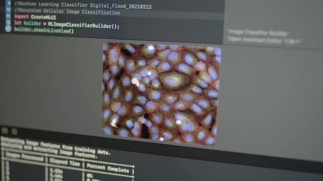 2.10 Real Neural Network Machine Learning Classification or Recursion Human Cell Cellular Organism