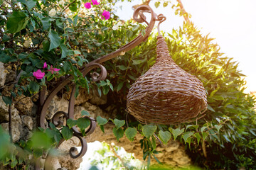 Luxury landscape design of the tropical summer garden