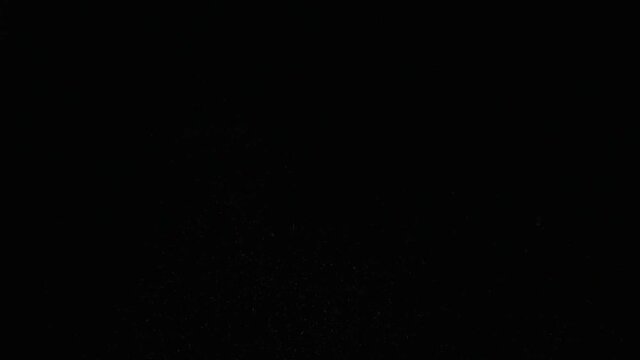 Flying up coconut chips on the black background. Slow motion