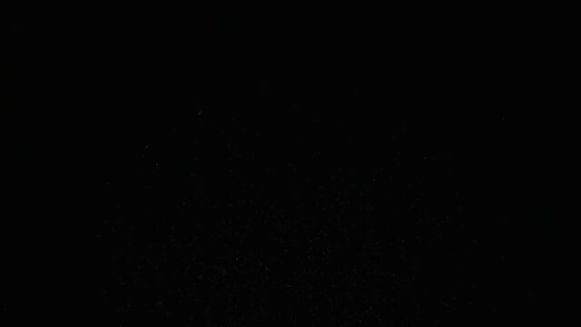 Flying up coconut chips on the black background. Slow motion