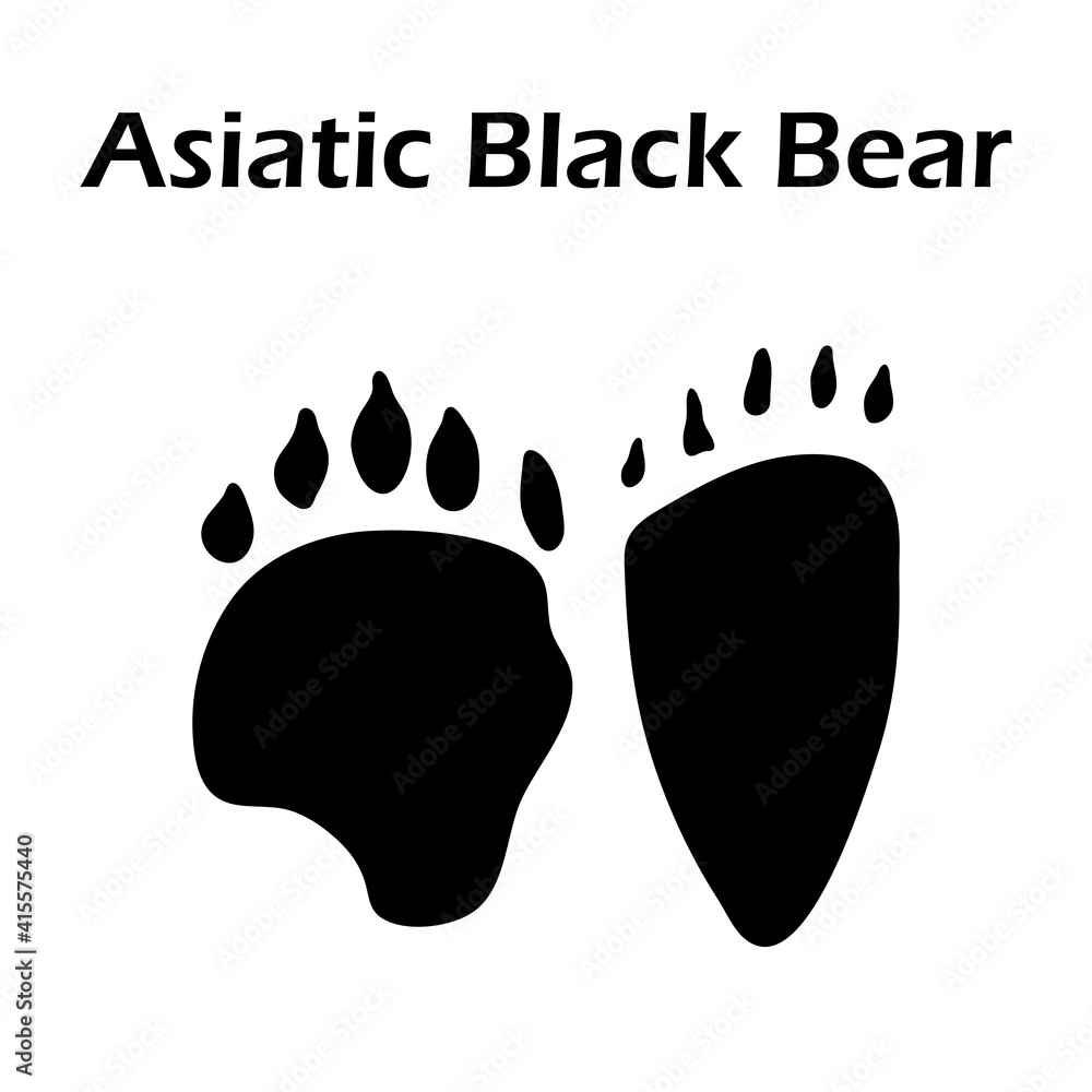 Sticker asiatic black bear footprint