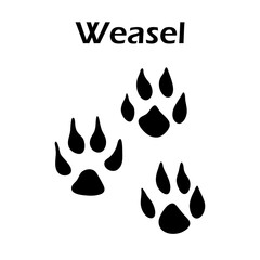 Weasel Footprint