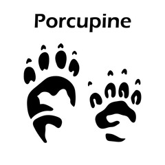 Porcupine Footprint