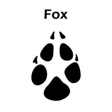 Fox Footprint