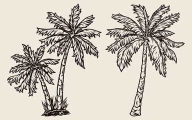 Palm trees vintage tropical composition