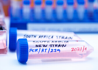 Several vials positive for covid-19 infection of the new variant in the south africa, conceptual image.