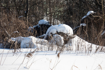 snowdrifts formed by snowy winter in the woods on the banks of a marshy stream