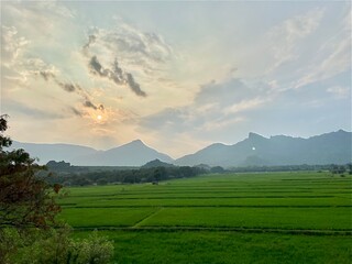 Fototapeta premium landscape with mountains
