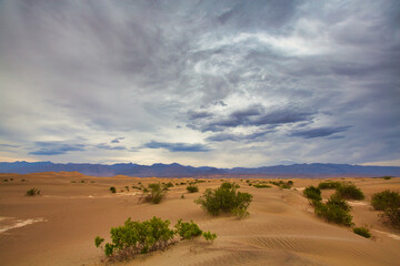 Naklejka premium Beautiful desert view with stormy sky and mountain range in the horizon, Death Valley, CA, USA