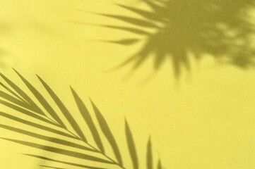 Shadow of palm leaves yellow background. Floral template