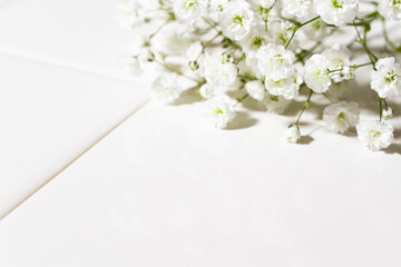 Obraz na płótnie Canvas かすみ草　白い花の背景素材