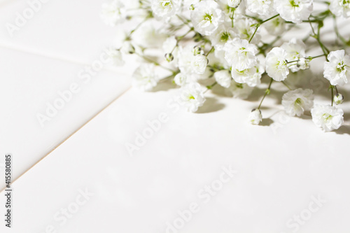 かすみ草 白い花の背景素材 Background Canvas Print Backgrou Shironagasukujira